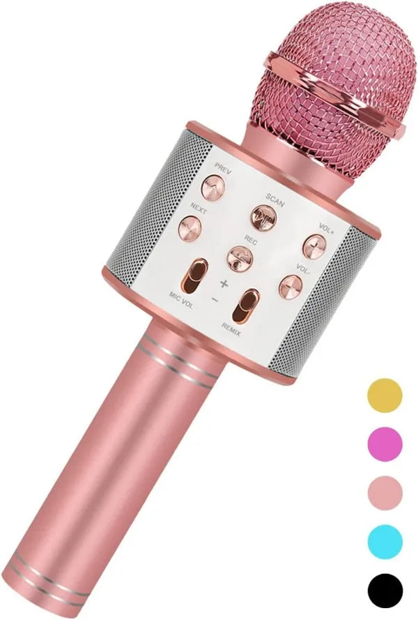 Handheld Karaoke Microphone for Kids